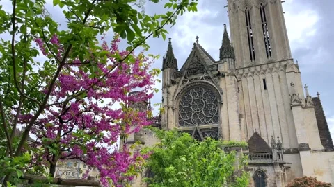 Gothic cathedral partially framed by blooming spring trees in Caen Stock Footage 308318871