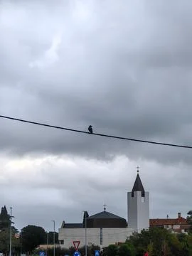 Gothic church of St. John the Baptist in Pula. Black raven on electric wire in f Stock Photos