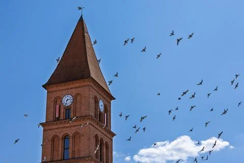 Gothic clock tower of Holy Trinity Church with pigeons in flight in Torun Stock-Fotos
