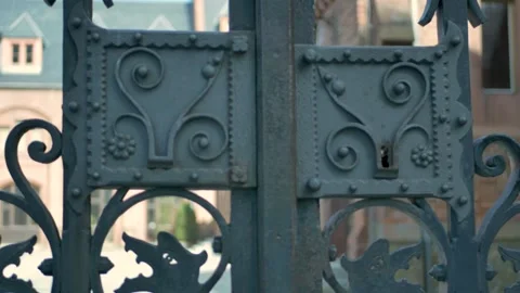 Gothic gate locks Stock Footage 253324788