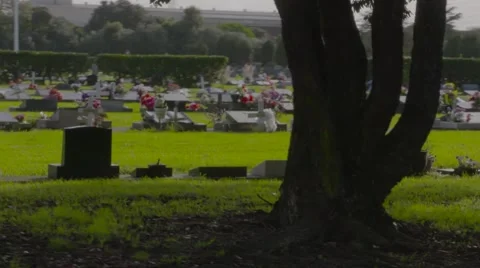 Gothic graveyard early 19th century dolly shot Stock Footage 53018750