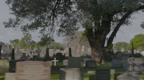 Gothic graveyard early 19th century dolly shot Stock Footage 53018755