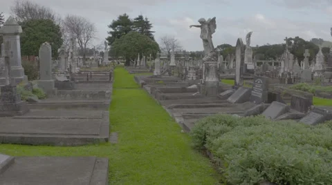 Gothic graveyard early 19th century Stock Footage 53020197