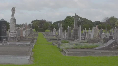 Gothic graveyard early 19th century Stock Footage 53020356