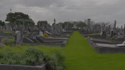 Gothic graveyard early 19th century Stock Footage 53020361