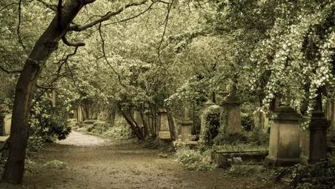 Gothic graveyard Foto stock