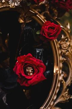 Gothic Halloween Table Setting with Skulls and Red Roses Stock Photos