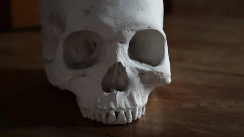 Gothic horror: Human skull with light moving from back lit to full frontal Stock Footage 184382513