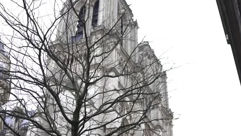 Gothic Notre Dame Tower Framed by Bare Winter Branches in Paris Stock Footage 303781613