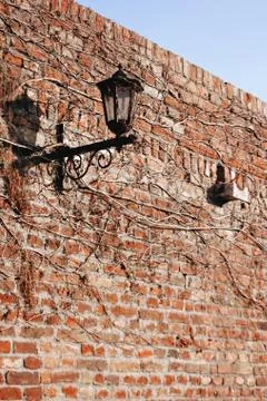 Gothic old street lantern Stock Photos