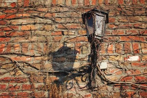 Gothic old street lantern Stock Photos