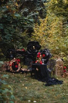Gothic Outdoor Tea Party with Black Roses and Skull Stock Photos