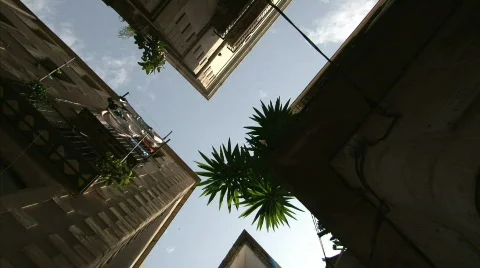 Gothic quarter Video stock 459234