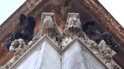Gothic Romanesque columns hold symmetrical pigeons - Old Masonry and Pigeon Pair Stock Footage 339564075