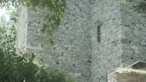 Gothic ruins tilt up to windy trees, ungraded Stock Footage 135574419