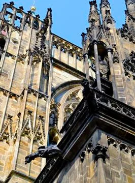 Gothic spouts Stock Photos