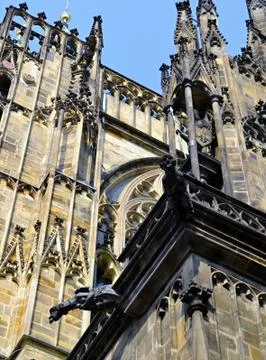 Gothic spouts Stock Photos