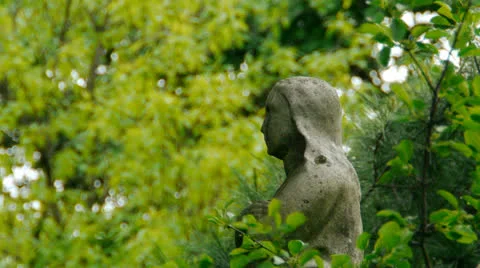 Gothic Statue and Trees Stock-Footage 24119737