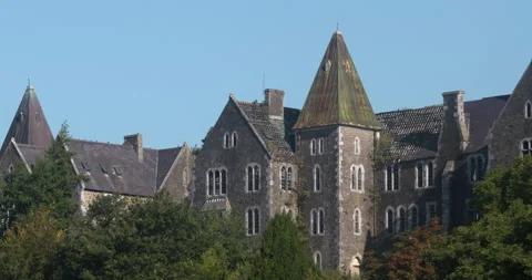 Gothic style castle manor house towers and windows overlooking forest trees Stock Footage 343292283