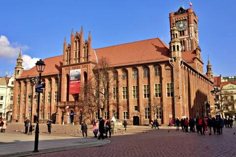 Gothic town hall Fotos Stock