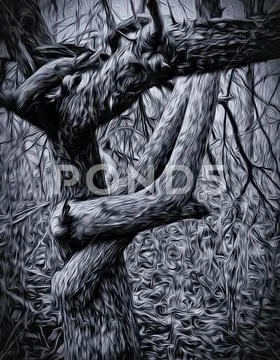 Gothic Tree Stock Illustration