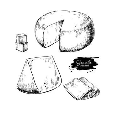 Gouda cheese block drawing. Vector hand drawn food sketch. Engraved Slice cut. Stock Illustration