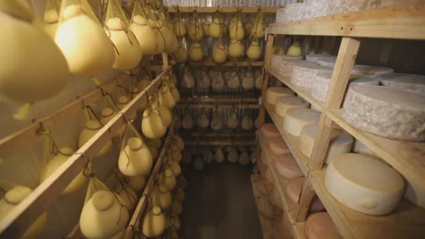 Gouda cheese Stock Footage 146678374