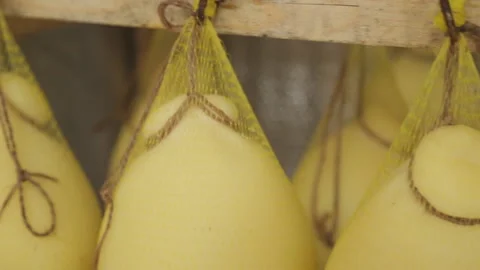 Gouda cheese Stock Footage 146678389
