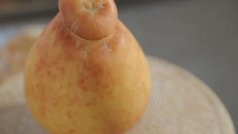 Gouda cheese Stock Footage 146679130