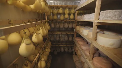 Gouda cheese Stock Footage 146679441