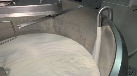 Gouda cheese making from raw milk Stock-Footage 58606712