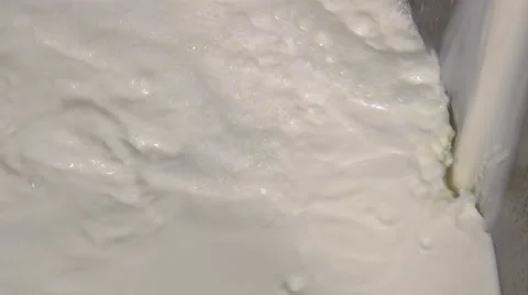 Gouda cheese making from raw milk Video stock 58606938