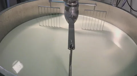 Gouda cheese making from raw milk Video stock 58607485