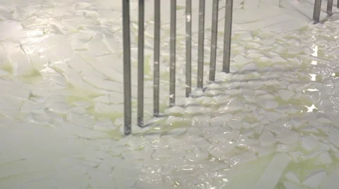 Gouda cheese making from raw milk Video stock 58608133