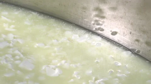 Gouda cheese making from raw milk Video stock 58609155