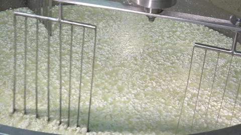 Gouda cheese making from raw milk Video stock 58609570