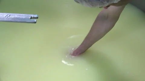 Gouda cheese making from raw milk Video stock 58609668