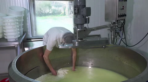 Gouda cheese making from raw milk Video stock 58610122
