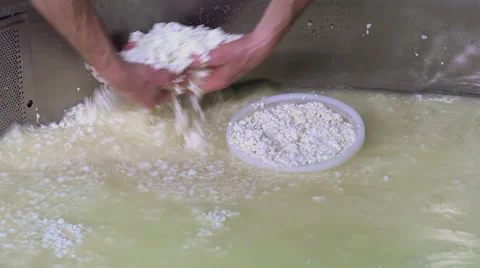 Gouda cheese making from raw milk Stock Footage 58610378