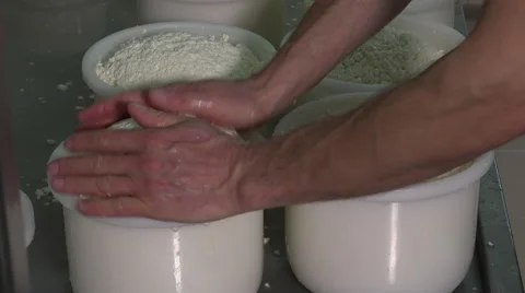 Gouda cheese making from raw milk Video stock 58610641