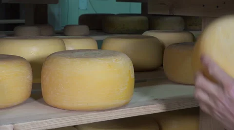Gouda cheese making from raw milk Video stock 58612186