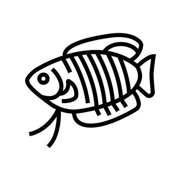 Gourami fish line icon vector illustration Stock Illustration