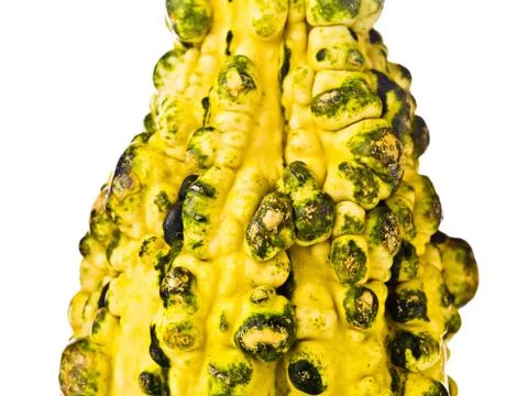 Gourd close up Stock Photos