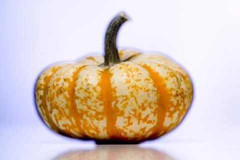 Gourd cutout Stock Photos