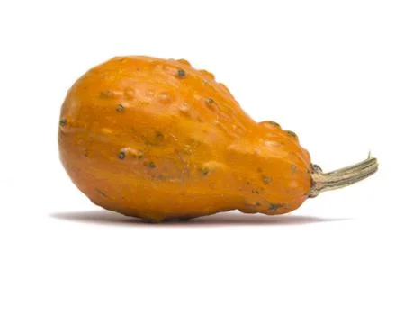 Gourd Isolated on White Background Stock-Fotos
