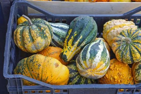 Gourds in crate Stock Photos