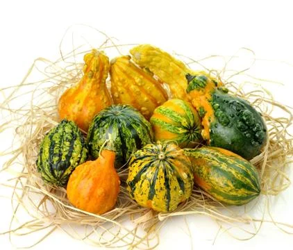 Gourds Stock Photos