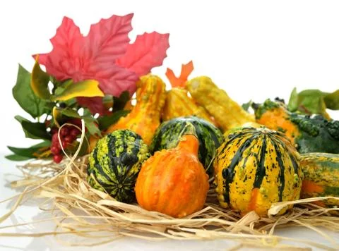 Gourds Stock Photos