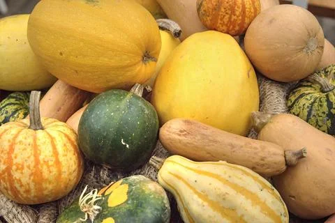 Gourds Stock Photos
