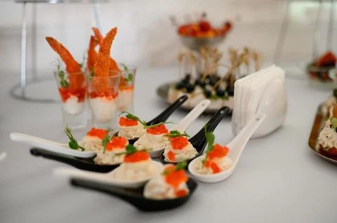 Gourmet appetizers served on elegant tableware at a catered event Stock Photos